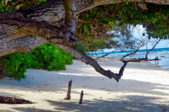 Seychellen19-11-13-pic13