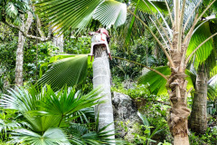 Seychellen-21-11-13-pic06