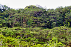 Seychellen-22-11-13-pic14