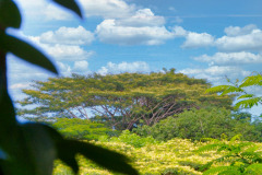 Seychellen-24-11-13-pic10