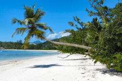 Seychellen-25-11-13-pic02