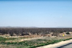 USA-South-Abilene-Hobbs-bild09