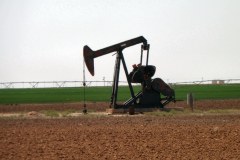 USA-South-Abilene-Hobbs-bild11