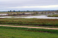 USASouth-Baton-Rouge–-Lake-Bruin-State-Park-bild08