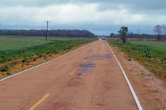 USASouth-Baton-Rouge–-Lake-Bruin-State-Park-bild09