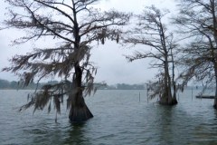 USASouth-Baton-Rouge–-Lake-Bruin-State-Park-bild17