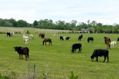 USASouth-Brookeland–Waco-bild16