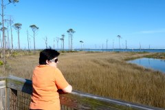 USASouth-Carabelle-Beach-FL-–-Big-Lagoon-State-Park-bild16