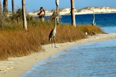 USASouth-Carabelle-Beach-FL-–-Big-Lagoon-State-Park-bild17