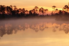 USASouth-Carabelle-Beach-FL-–-Big-Lagoon-State-Park-bild20
