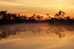 USASouth-Carabelle-Beach-FL-–-Big-Lagoon-State-Park-bild22