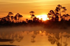 USASouth-Carabelle-Beach-FL-–-Big-Lagoon-State-Park-bild24