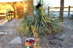 USA-South-Carlsbad-lasCruces-bild02
