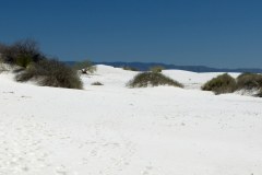 USA-South-Carlsbad-lasCruces-bild15