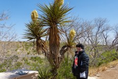 USA-South-Hobbs-Carlsbad-bild09