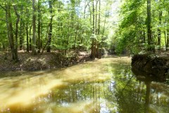 USASouth-Lake-Bruin-State-Park–Brookeland-bild09