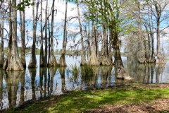 USASouth-Lake-Bruin-State-Park-bild03