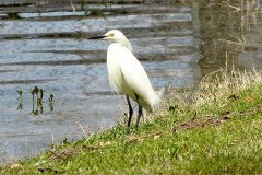 USASouth-Lake-Bruin-State-Park-bild06