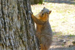 USASouth-Lake-Bruin-State-Park-bild07