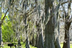 USASouth-Lake-Bruin-State-Park-bild13