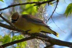 USASouth-Lake-Bruin-State-Park-bild14