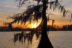 USASouth-Lake-Bruin-State-Park-bild15