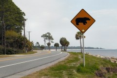 USASouth-Lake-Seminole-CarabellBeach-bild17