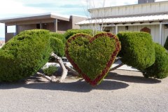 USA-South-LasCruces-SilverCity-bild06