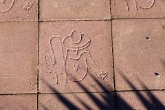 USA-South-SilverCity-ElephantButt-bild01