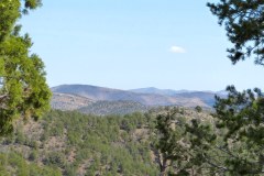 USA-South-SilverCity-ElephantButt-bild11