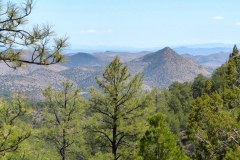 USA-South-SilverCity-ElephantButt-bild12