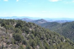 USA-South-SilverCity-ElephantButt-bild17