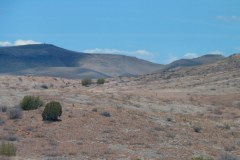 USA-South-SilverCity-ElephantButt-bild19