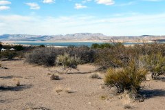 USA-South-SilverCity-ElephantButt-bild28