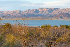USA-South-SilverCity-ElephantButt-bild32