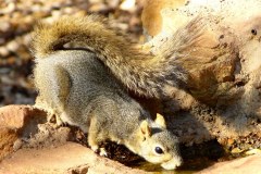 USASouth-Waco–-Abilene-bild18