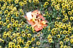 Frachtschiffreise-Hamburg-Miniaturwunderland-bild22