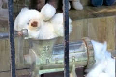 bild12