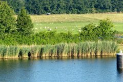 Frachtschiffsreise-Nord-OstseeKanal-bild09