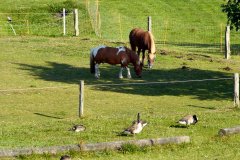Frachtschiffsreise-Nord-OstseeKanal-bild23