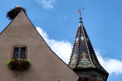 Frankreich-Elsass-2014-bild04