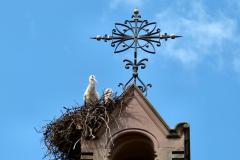 Frankreich-Elsass-2014-bild06