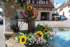 Frankreich-Elsass-2014-bild09