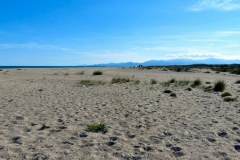 Suedfrankreich-Sainte-Marie-la-Mer-bild17