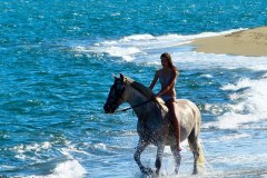 Suedfrankreich-Sainte-Marie-la-Mer-bild19