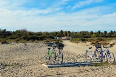 Suedfrankreich-Sainte-Marie-la-Mer-bild21