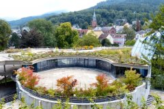 Suedtirol2014-Elbsee-Badenweiler-bild11