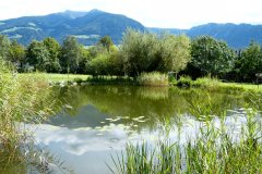Suedtirol2014-Graubuenden-Meran-bild15