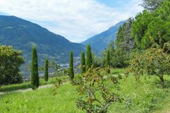 Suedtirol2014-Graubuenden-Meran-bild16