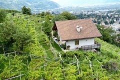 Suedtirol2014-Graubuenden-Meran-bild18